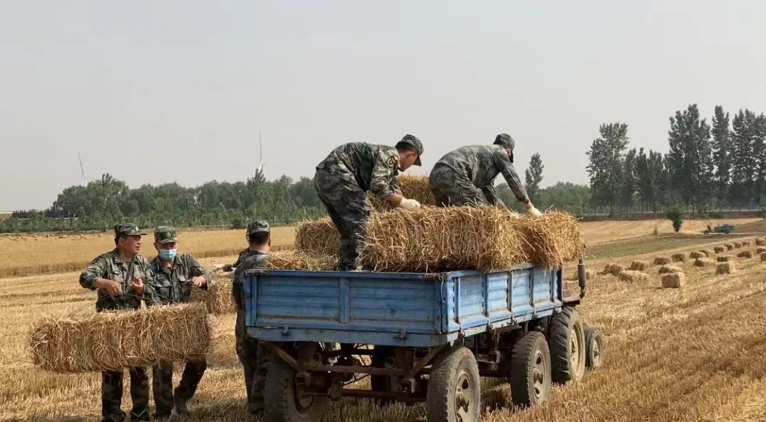 6ee984f2be2b49439890735f289d16d5~tplv-tt-origin-web:gif.jpeg?_iz=58558&from=article.pc_detail&lk3s=953192f4&x-expires=1736993715&x-signature=J2l3zZuy%2BSU7GYF7svUZExUxRkw%3D