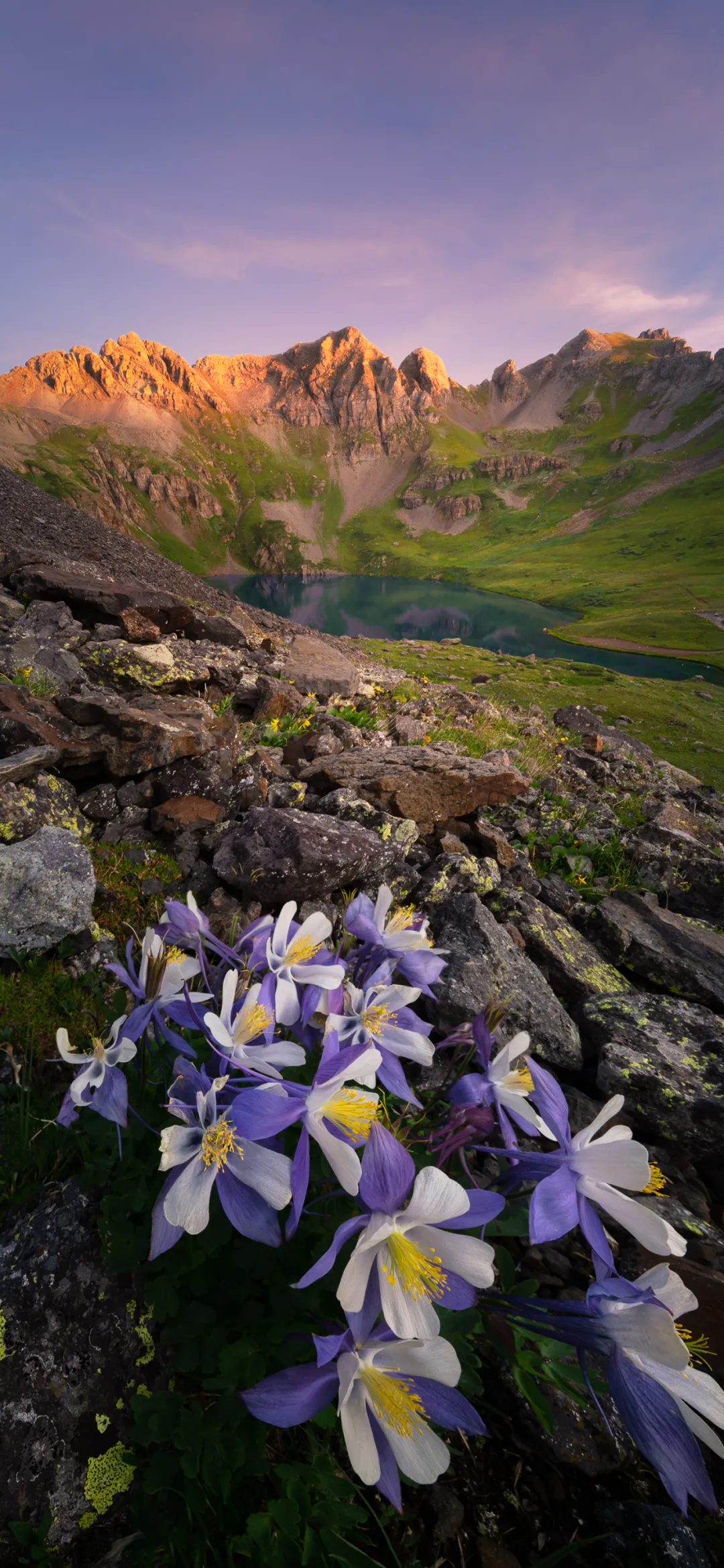 12379_f9lq_4502.webp
