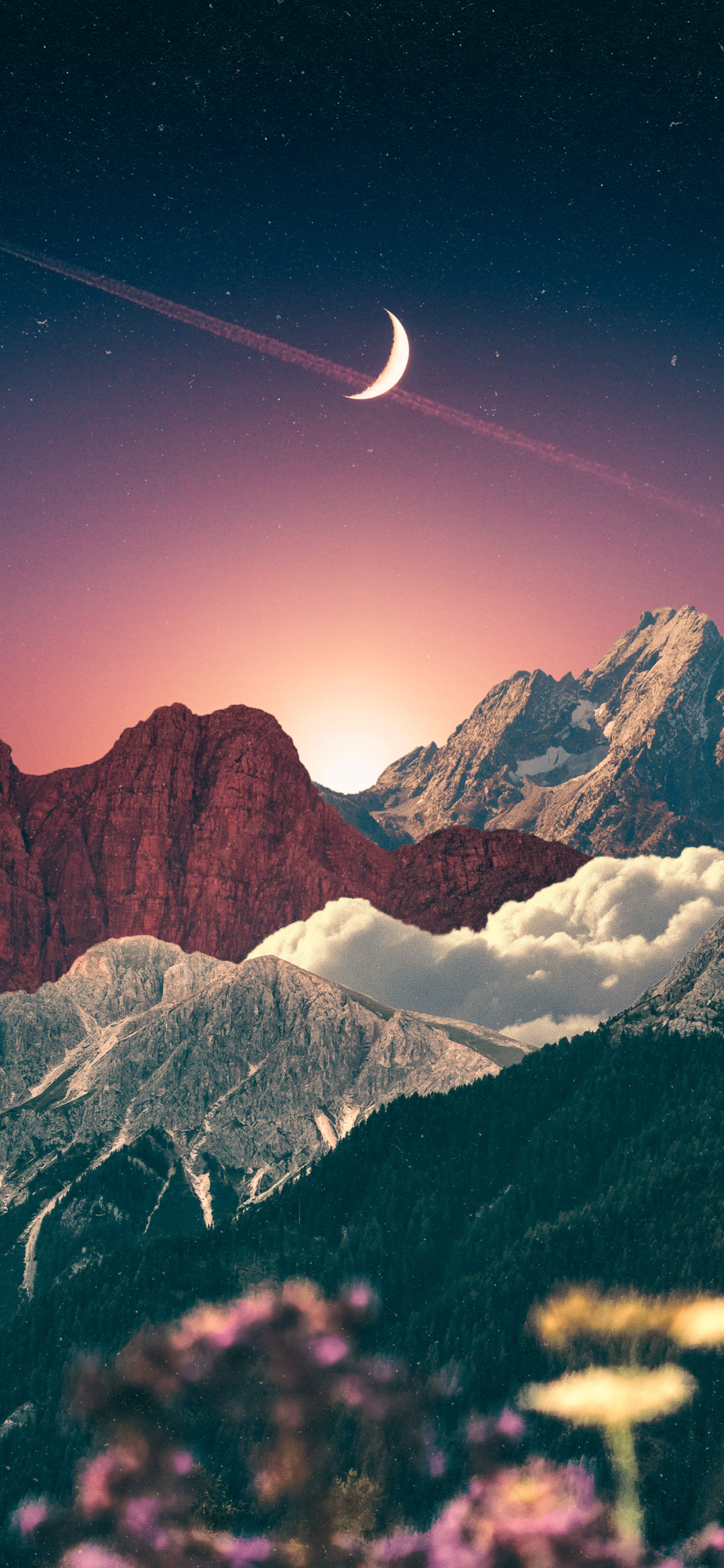 2103_dxvn_2024.png