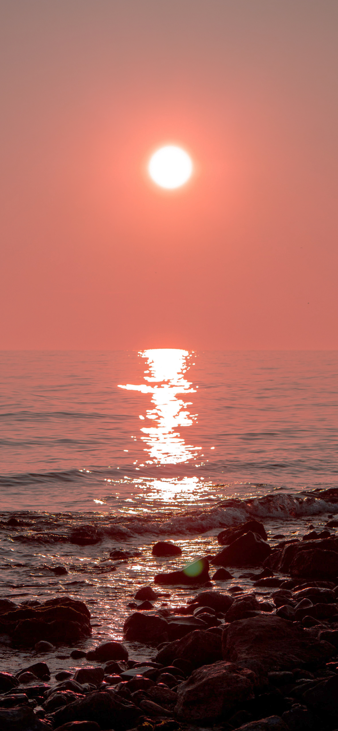 2120_6bxr_7607.png