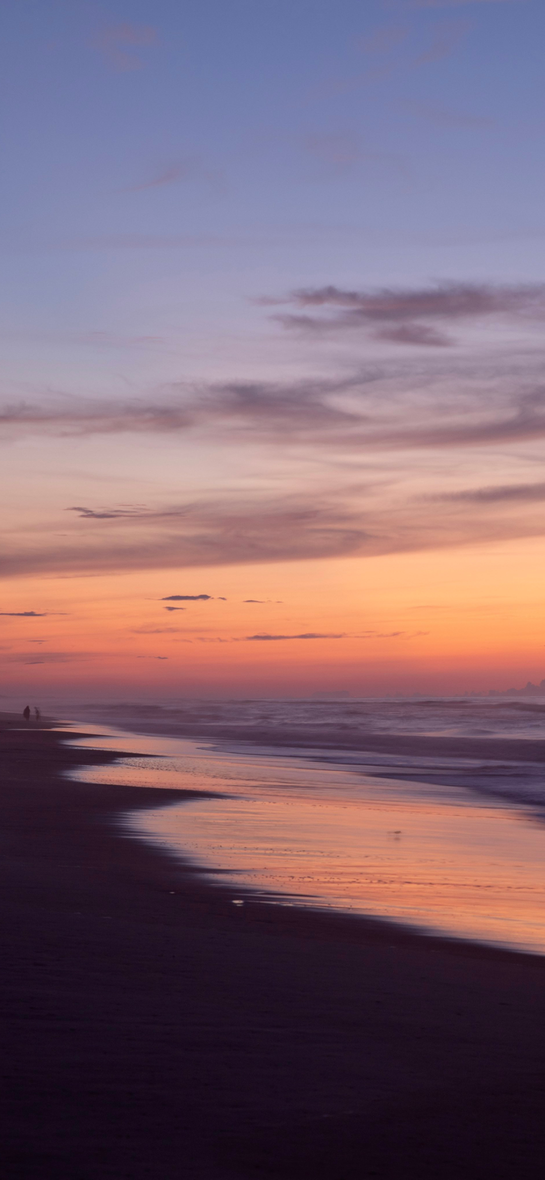 2131_4kmu_3851.png
