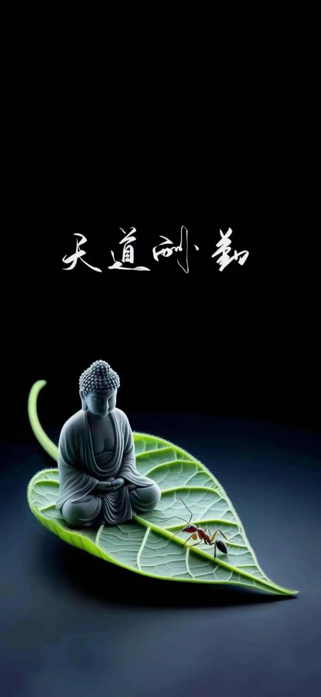 2472_x1p9_2217.webp