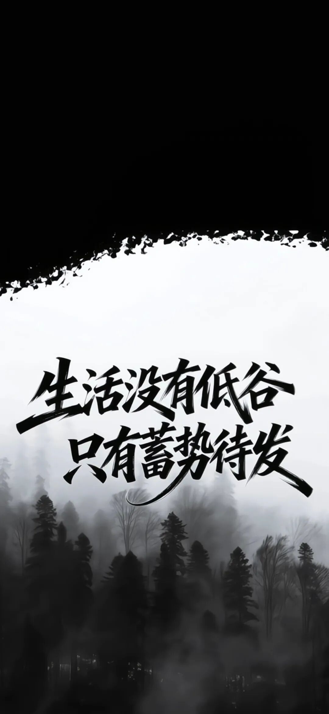 1571_jmhp_3203.jpeg